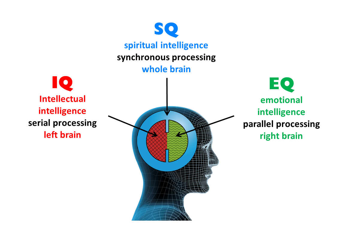 The Brains Three Processing Modes copy